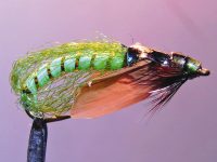Сocoon green pupa