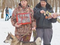 В Вологде прошла областная выставка охотничьих собак