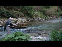 Больно уж красивая сербская речка — Градац! Мы сделали короткие видеозарисовки с нашей апрельской поездки, без монтажа и музыки — просто живой звук